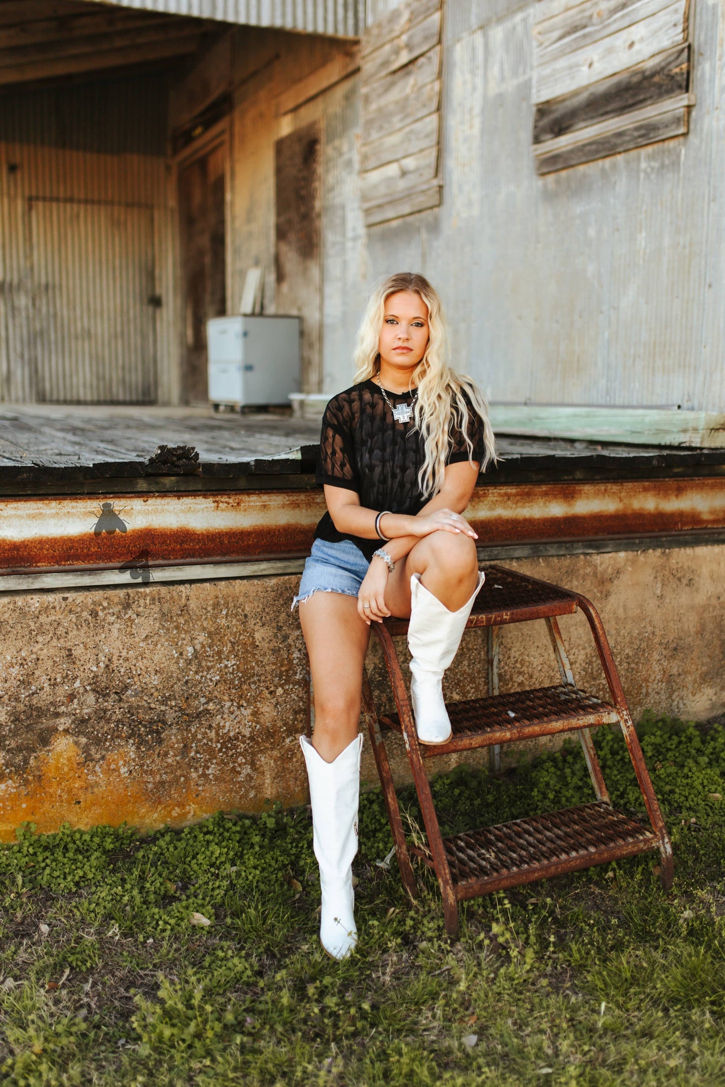 COWTOWN CUTESY *MIDNIGHT