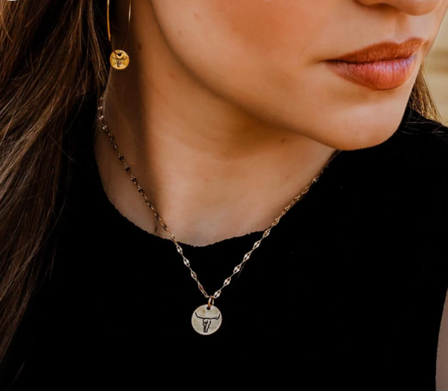 Horseshoe Necklace