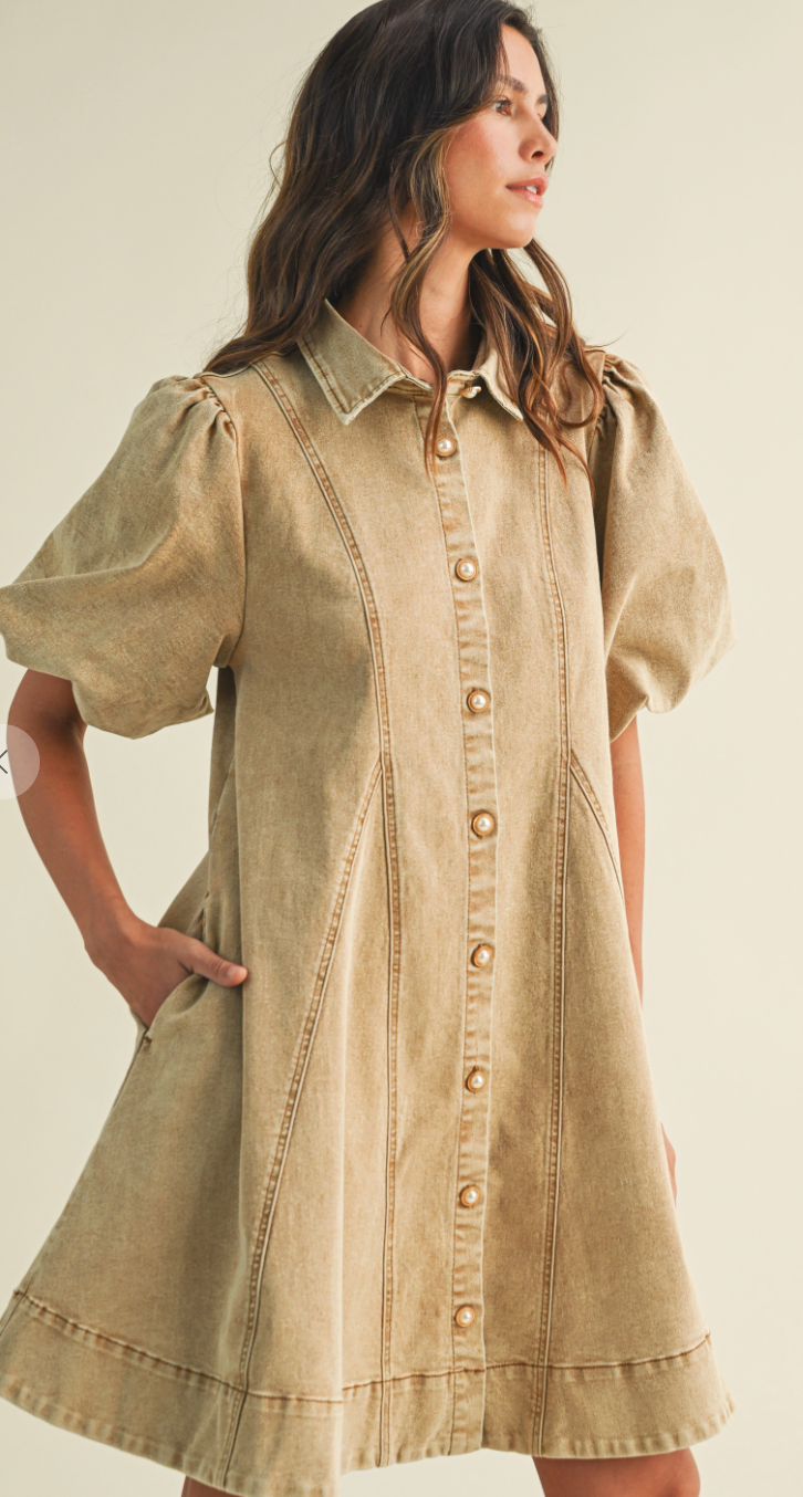 Wild Honey Denim Dress