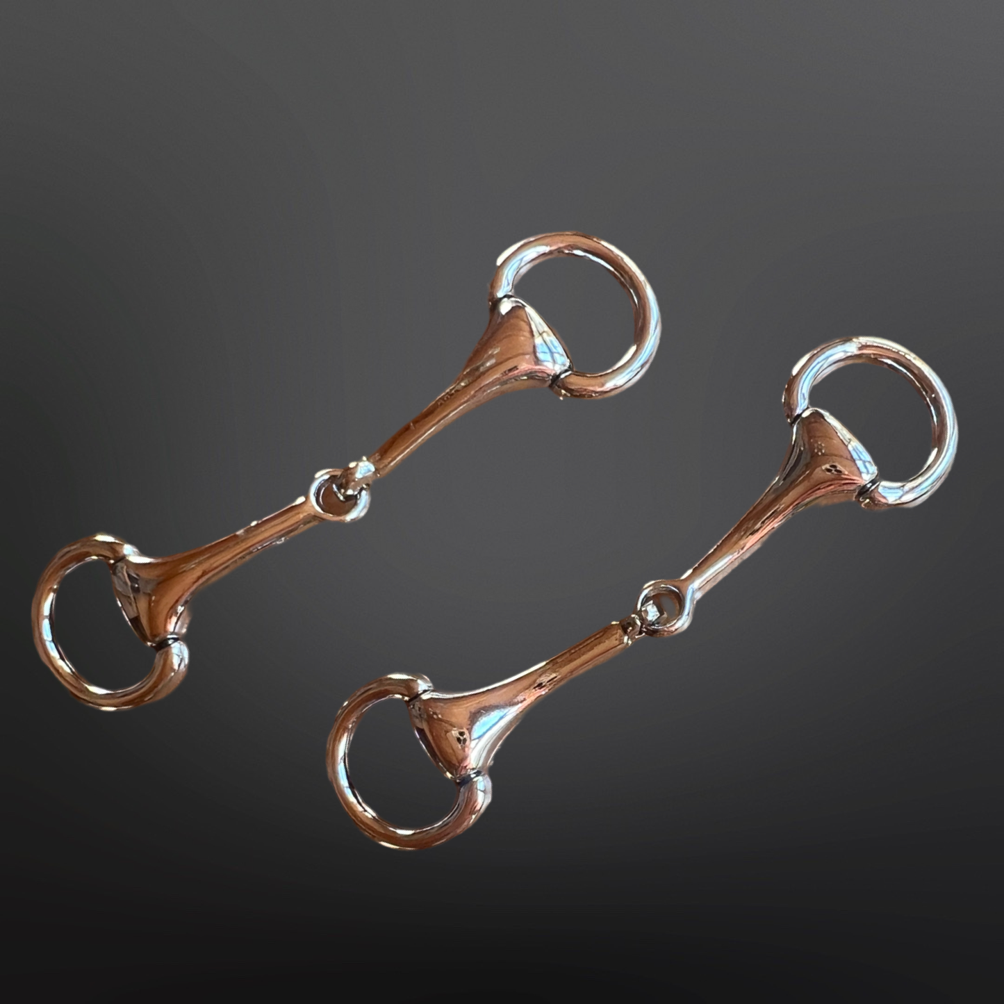 Snaffle Slides