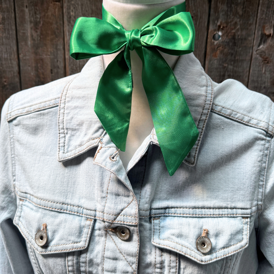 Green Western Skinny Mini Wild Rag Scarf / Cowgirl Necktie  #TW310