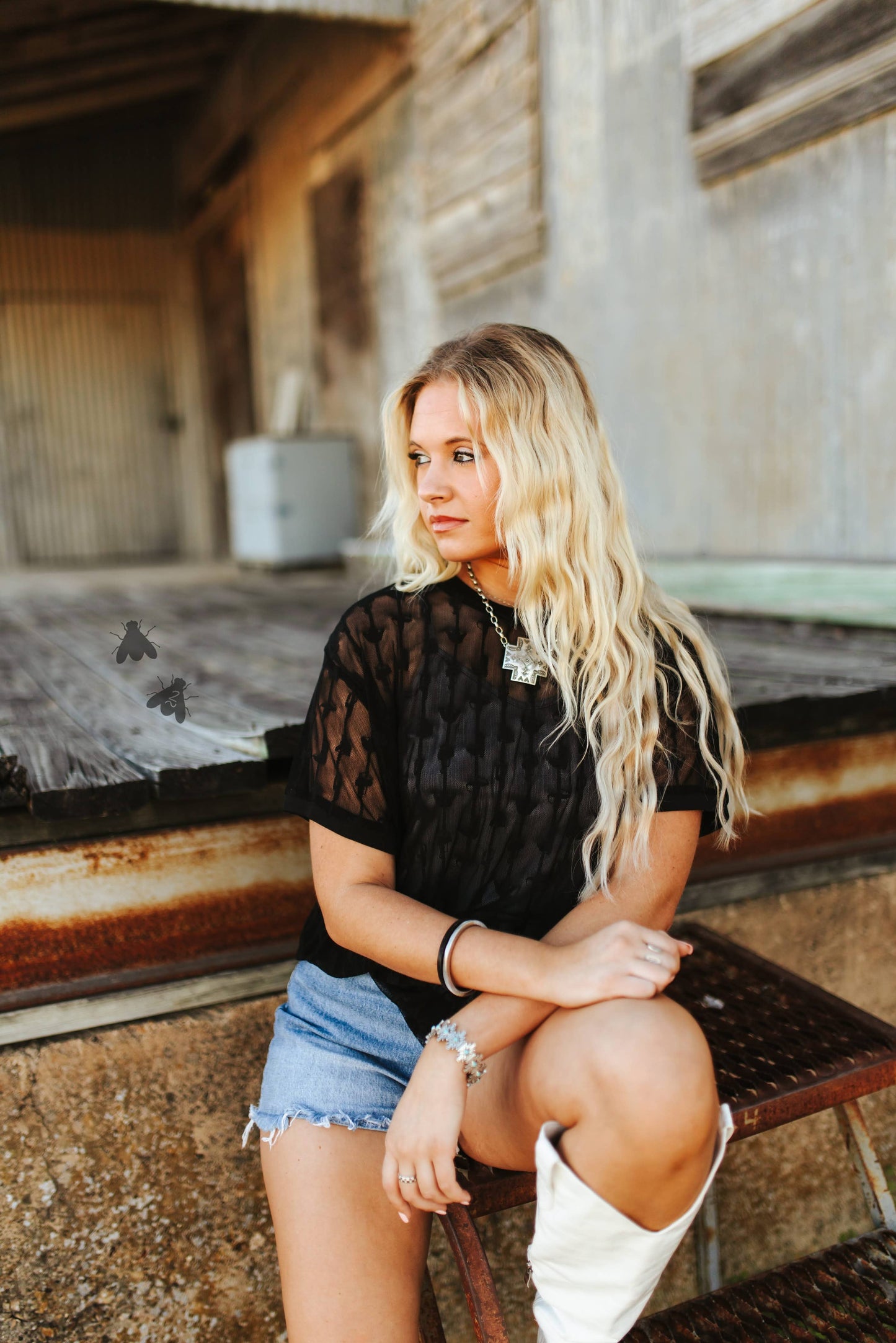 COWTOWN CUTESY *MIDNIGHT