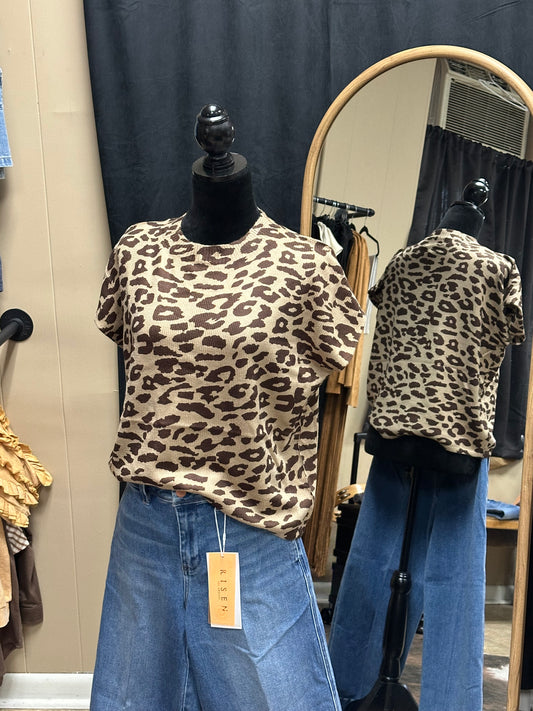 Wild Whisper Knit Top