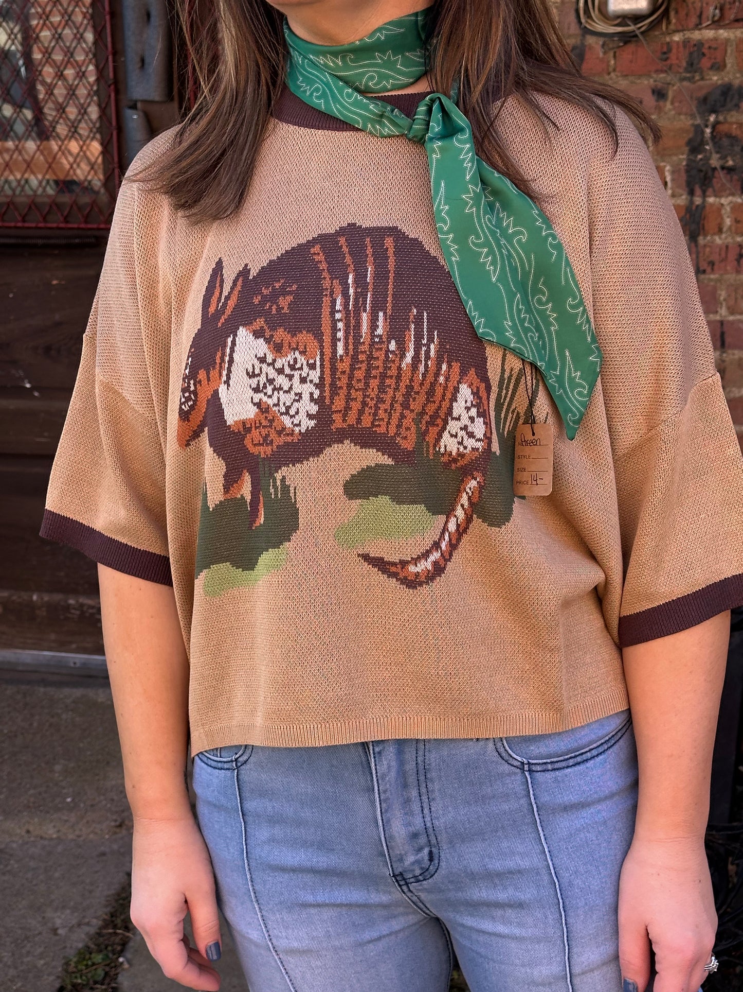 Dusty Dillo Top
