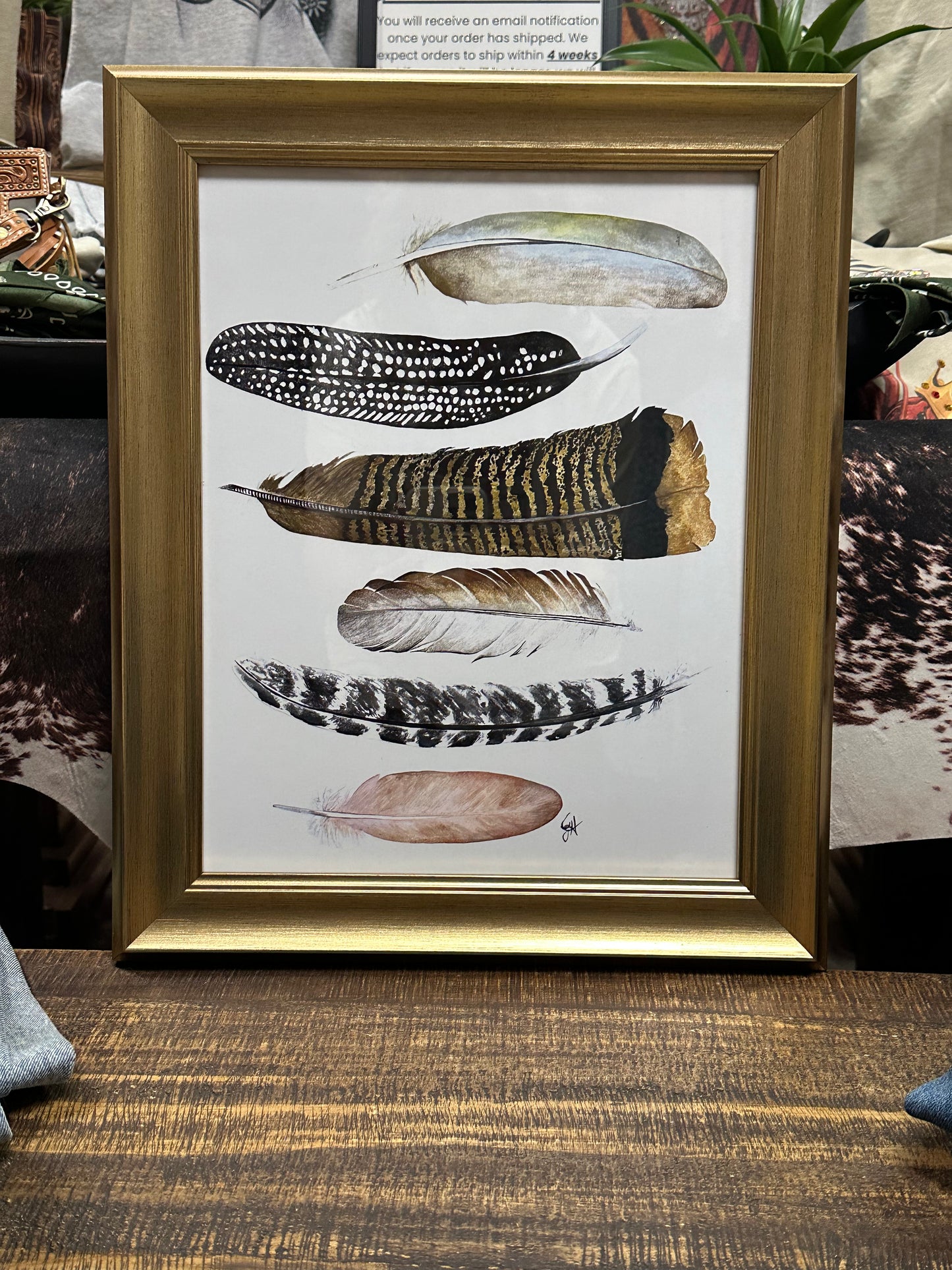 11x14 Framed Print - Feathers