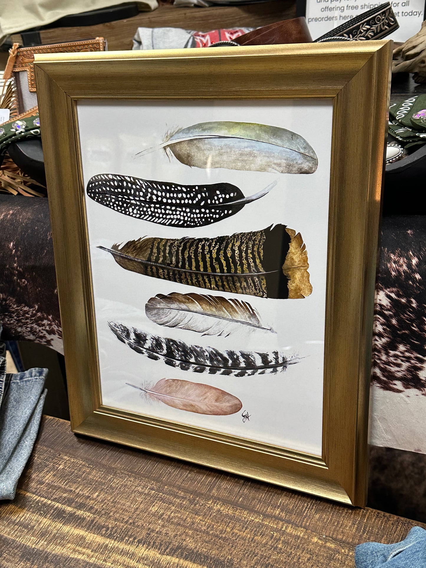 11x14 Framed Print - Feathers