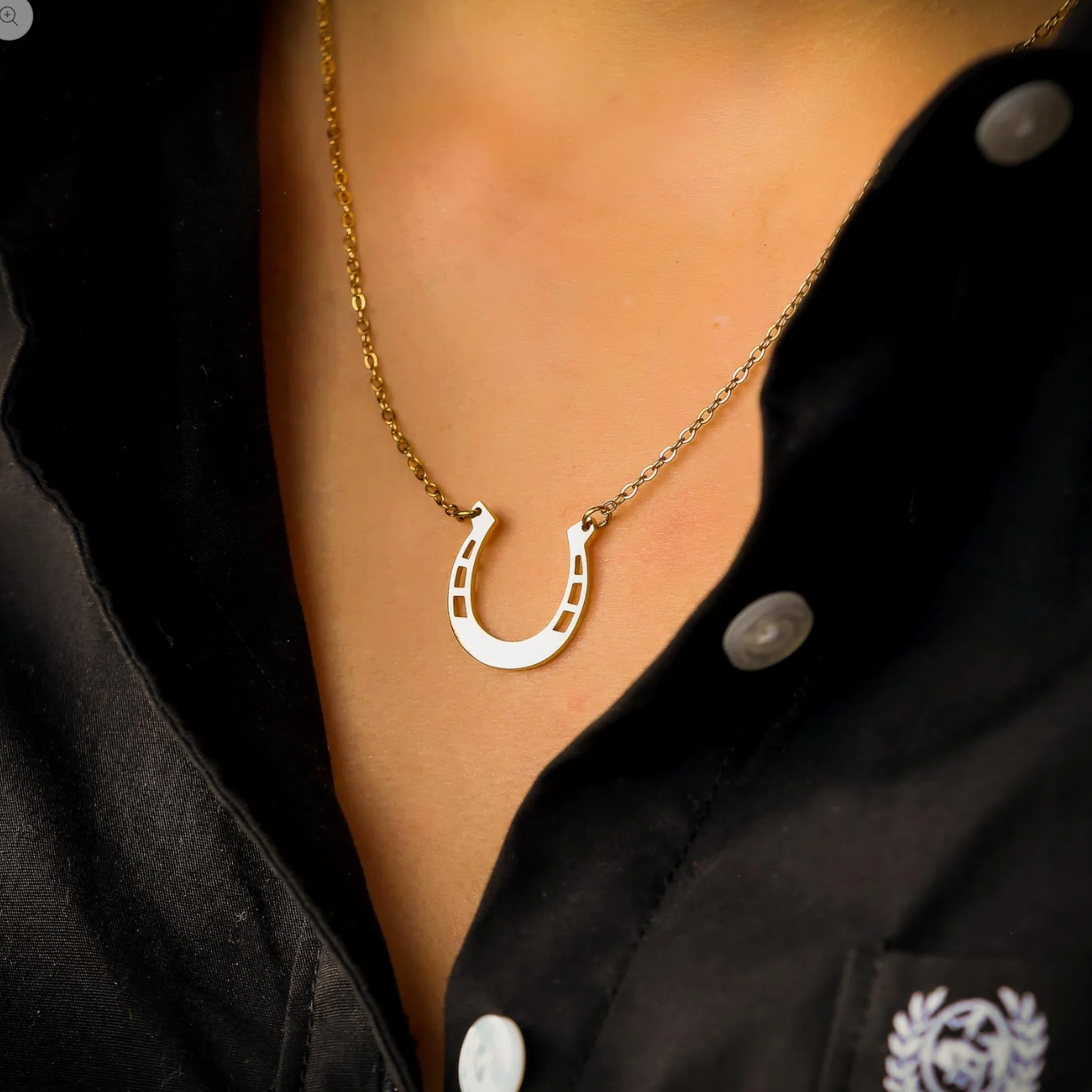 Horseshoe Necklace