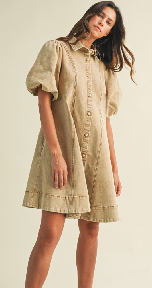 Wild Honey Denim Dress