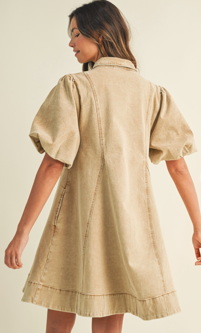 Wild Honey Denim Dress