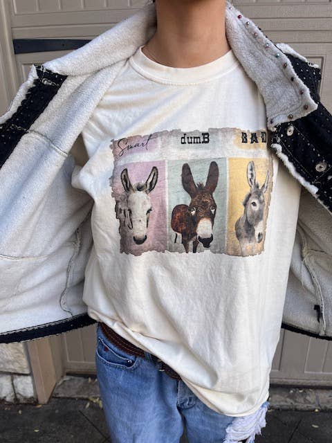 Smart Dumb Bad (donkeys)